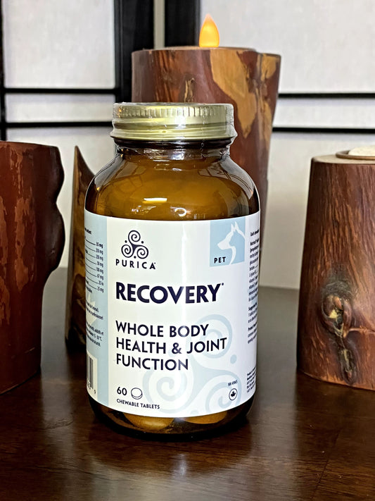 Recovery Pet Chewables